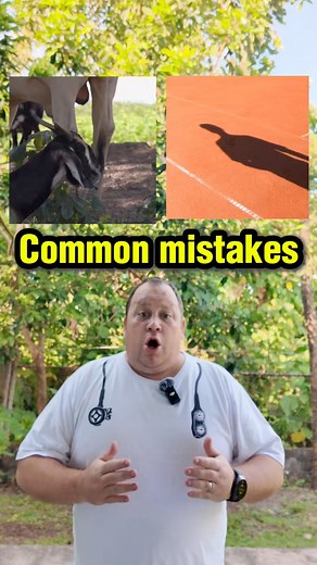 280K views · 8.2K reactions | Common mistakes #learnenglish | English Lingo | Facebook