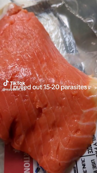 Identifying Parasites in Wild Caught Salmon