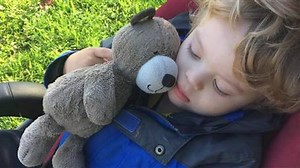 200K views · 2.7K reactions | WATCH: Lucas and his teddy bear are...