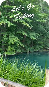 80K views · 90 reactions | Fishing for Everyone at Oak Haven! Call today to book your next adventure 1-800-652-2611 www.oakhavenresort.com #fishing #smokymountains #cabinlife | Oak Haven Resort | Facebook