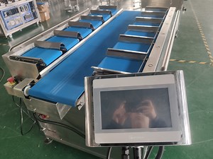 [Hot Item] Weighing Fish Noodle Shrimp Seafood Conveyor Belt Combination Weigher Scale Electric Scales