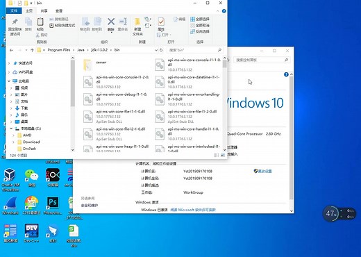 JDK安装成功的示例