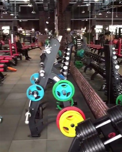 Powerful Female Muscle Flexing & Gym Posing