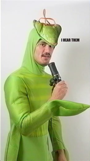 I wrote a second verse to the ant song. I need a title though