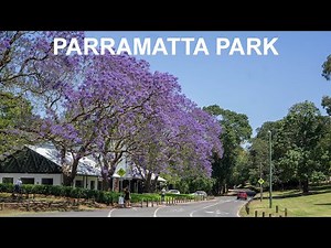 Parramatta Park - Walking Tour - 4K Video
