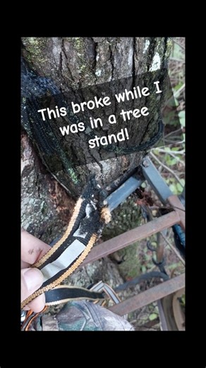 Biologist Mike on Instagram: "This could’ve ended a lot worse. During a windy morning hunt over the weekend, the strap holding my ladder stand to the tree snapped while I was in it. Bad choice on my part to pick 2 trees for the strap to go around, I thought the smaller tree was not an issue. It was not a new strap either. And my hunting buddy had a big tree fall within 10 feet of his stand in the wind storm. After the 30+ mph blasts ended, I got down safely and walked out of the woods — and lear
