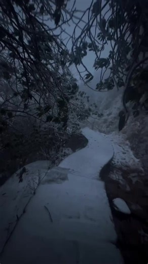 Embrace the Dark Aesthetic: A Journey into Disconnect