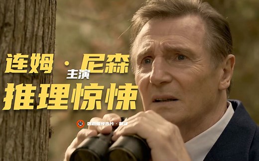 【中字】连姆·尼森推理惊悚《马洛》首曝预告