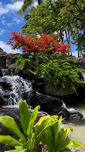 Kuhio Beach Park Waterfall l. Aloha🌺🤙 #waikiki #hawaii #honolulu #vacations #pictureoftheday #destination #islands #hawaiilife #ocean #nature #islandlife #Aloha #beachlife #beaches #oahu #Oahu #oahulife | Alicia Agustin Vidal