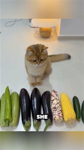 She Turn Food Into Tiny Cat Shoes 🤯🥕
