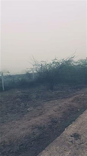 sekho app down load kre