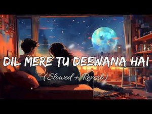 Dil Mere Tu Deewana Hai - Lofi || Slowed & Reverb || Love Feeling Lofi Song ||