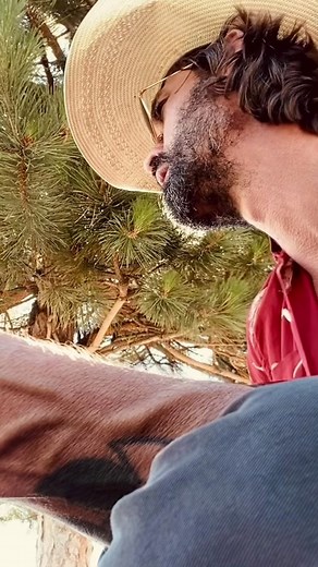 Where My Wild Things Are…out now. #ryanbingham #acousticcovers #yellowstone