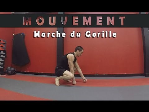 Mouvement - La Marche du Gorille