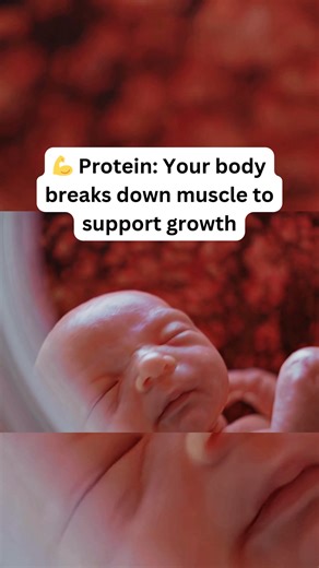 Does a baby “eat” the mother during pregnancy? Not literally — but yes, the baby will pull nutrients from the mother’s body if intake is too low. This is the body's survival priority: protect the baby first. What actually happens? If the mother isn’t getting enough nutrients: Calcium: The baby will take what it needs, and the mother’s body may pull calcium from her bones, increasing her risk of bone loss. Iron: The baby draws iron, leaving the mother at risk of anemia, fatigue, dizziness, and we