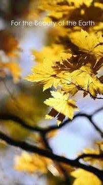 "Hymns" album preview #hymns #piano #sacredmusic #comfort