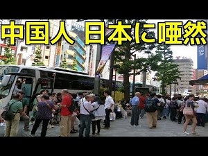 【衝撃】日本を観光しに来た中国人が本土との違いに驚いたこと10選！知らないと危険な〇〇の方法とは？【知っておいて損はない雑学】