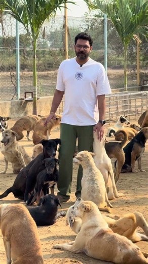 Our problems are nothing compared to theirs. #paralyseddog