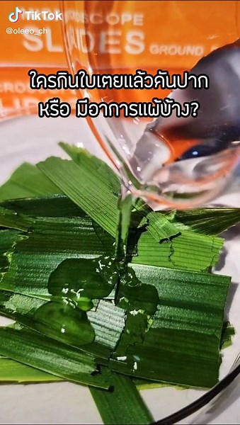 เเคลเซียมออกซาเลตทำให้เกิดการระคายเคือง เเละ เกิดโรคนิ่วในไตได้ #รู้หรือไม่ #วิทย์ที่คุณไม่รู้ #TikTokUni