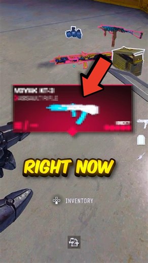Why is EVERYONE using THIS in Warzone?