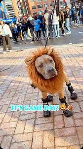 IT’S GAME DAY, DETROIT! Watch Local 4 News at 6:30 for our pregame special! | WDIV Local 4 / ClickOnDetroit