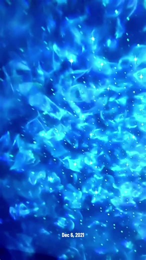 #onthisday #healing #taputwa #progressandawakening #awakeningprojectfam @Emma♡TAP.Wa @Letmeflyu2themoon @ProgressOverPerfection