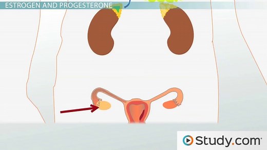 You must c C reate an account to continue watching