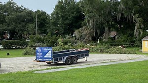 Officials: Man killed when large tree he was working on fell on him in Orange County
