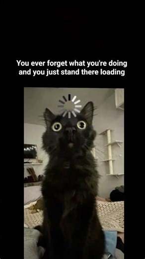 “Human loading😂#Relatable#Funny#POV#Meme#CatMeme#Overthinking#Mood#Viral #pet