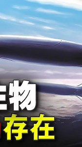 415大气中是否存在看不见的神秘生物来自一名博士的神奇记载