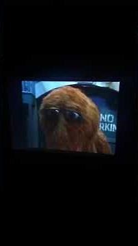 Sesame Street Episode 2559 Ending