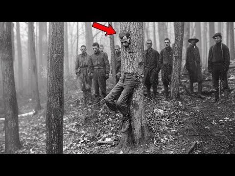 🔴 100 Rare Historical Photos That Will Change How You See the Past