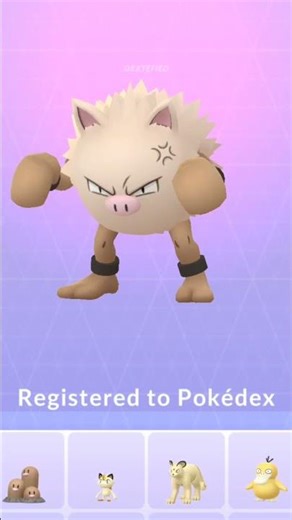 Mankey evolution in Pokemon GO #Pokemon #Shorts