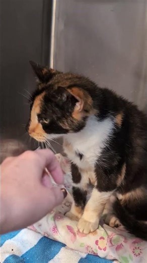 Help Dora Live Her New Life Off the Streets