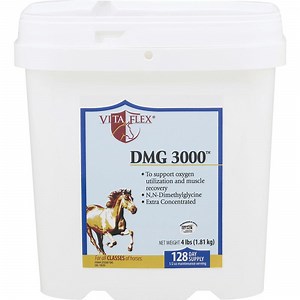 Dmg Powder