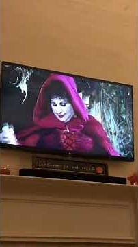 Hocus Pocus Witch Rides Vacuum Cleaner