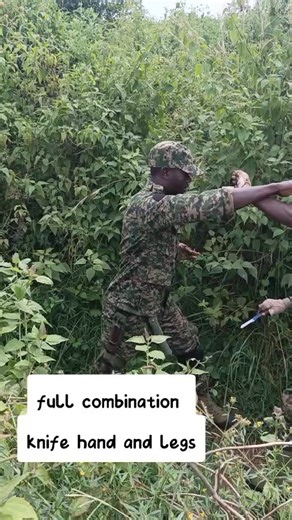 Da tiger (@da.tiger12)’s videos with original sound - Gen z artist Alien skin 🥇🤟