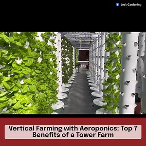 Let’s Gardening on Reels | Facebook