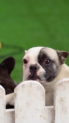 1409 (@joesur1409)’s videos with original sound - 1409