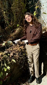 The Bone Museum | Taphonomy is the study of what happens to a body after death, including how it decomposes, interacts with the environment, and might turn... | Instagram