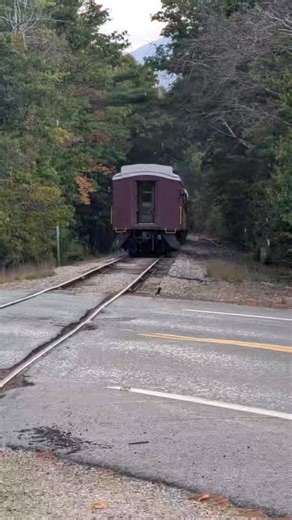 The Conway Scenic train going through Bartlett, New Hampshire September 3 2025 #thenaturenomad #trainride #oldtrains #conwayscenic | The Nature Nomad