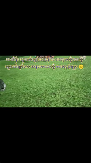 သထိန်းနဲ့ သူငယ်ချင်းတက်ကွဲ: အိမ်ကဒရိုင်ဘာက မဆော့နိုင်ခဲ့တဲ့ အကြောင်း