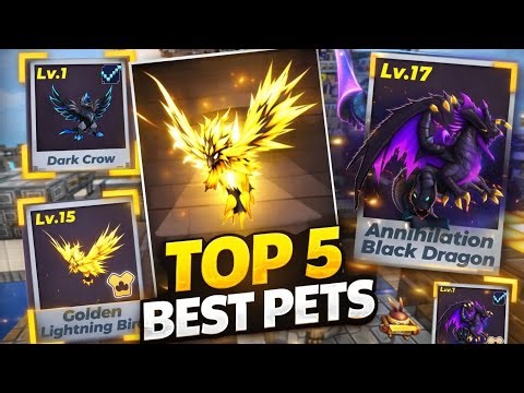 TOP 5 BEST PETS in Blockman GO Bedwars 😱 Most OP Pets You Must Use!