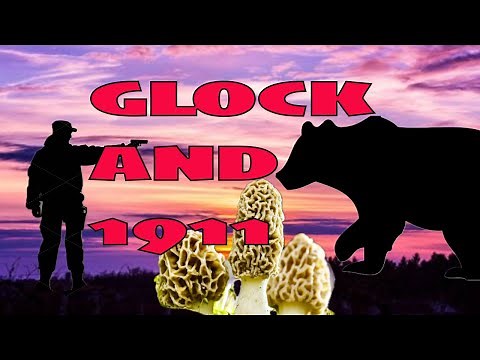 Montana Mushroom Hunters Stop Grizzly With a Glock 10mm and 1911