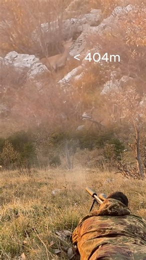 Bedded Red Deer at 404m – Right or Wrong? #longrangehunting