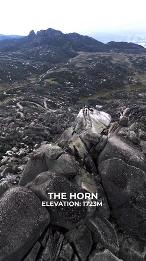 The Horn ⛰️ at 1723m above sea level it marks both the high point and halfway mark of the Buffalo 100km course. It’s truly an unforgettable experience, with 360 degree panoramic views of the epic Victorian Alps ❤️ 🎥: @sneakybaz #buffalostampede #thehorn #mtbuffalo | Buffalo Stampede