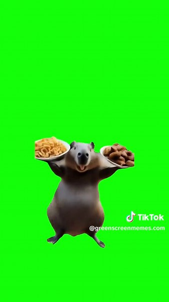 Hilarious Chicken Wing Dog Meme with Green Screen Effect