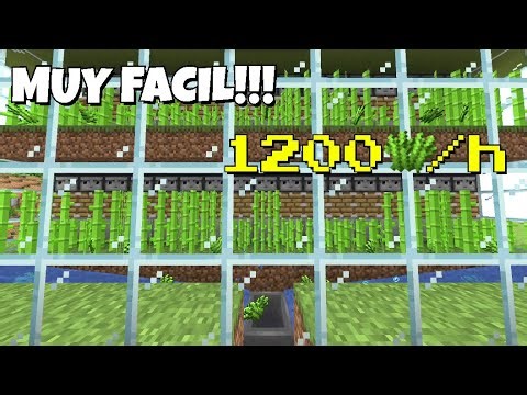 🌾 La Granja de Caña Más Sencilla y Eficiente | Minecraft 1.16.5+