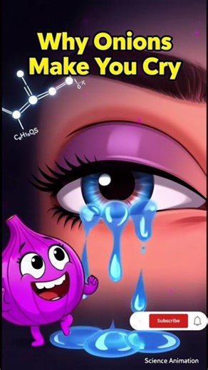 The REAL Reason Onions Make Adults Cry 😭 (Science Animation) #science #facts #biochemistry