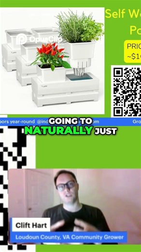 Grow Anything Indoors: Smart Hydroponics with LED Grow Lights Explained